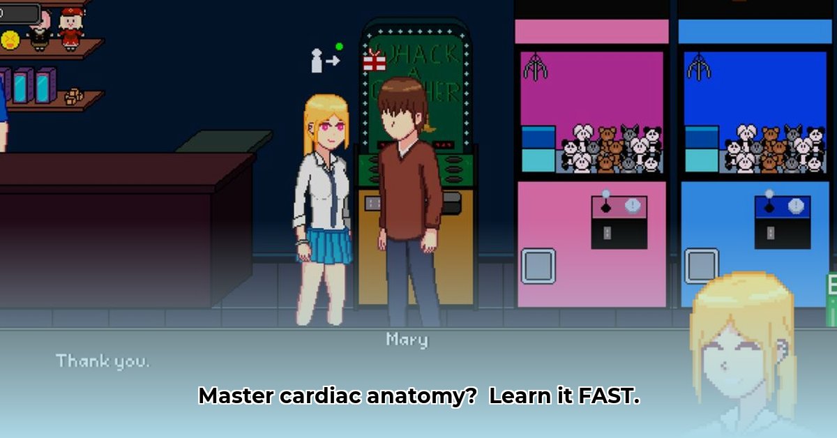 learn-the-heart-apk